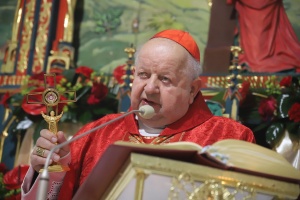 kardynał Stanisław dziwisz